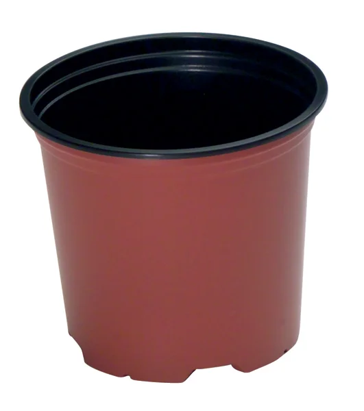 Maceta termof 8,5cm-f