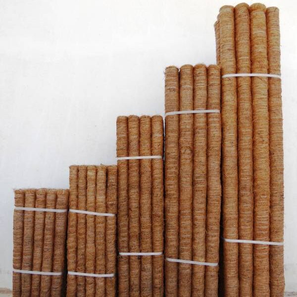 Tutores 001 Tutores 001