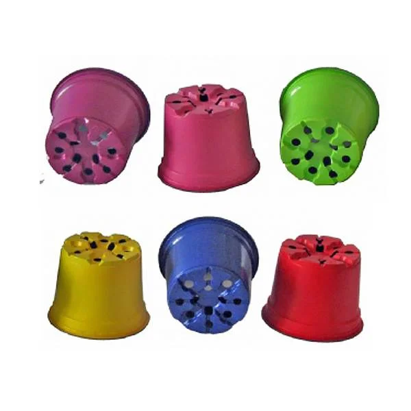 colorama