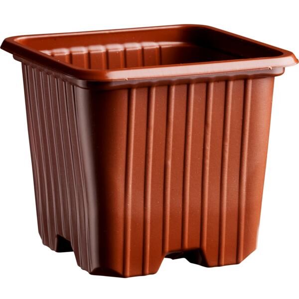 Cubilette terra Cubilette terra