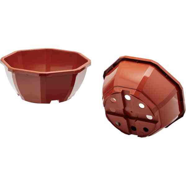 Copa octo 1 Copa octo 1