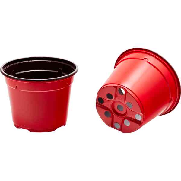 Maceta Termof 8º Maceta Termof 8º