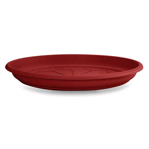 Plato decor