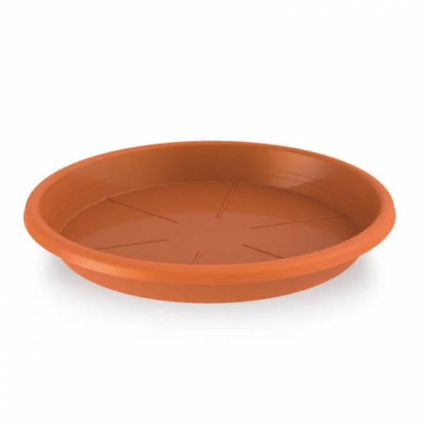 Platos.2jpg