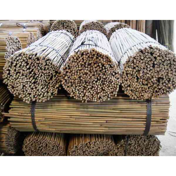 Cañas+Bambu Cañas+Bambu