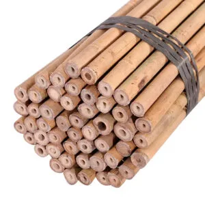 Cañas de Bambú
