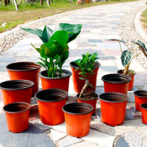 Macetas y Contenedores